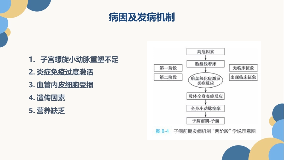 妊娠期高血压护理查房PPT_第12页
