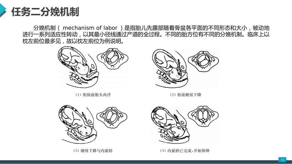 母婴护理课件：正常分娩期妇女的护理_第13页
