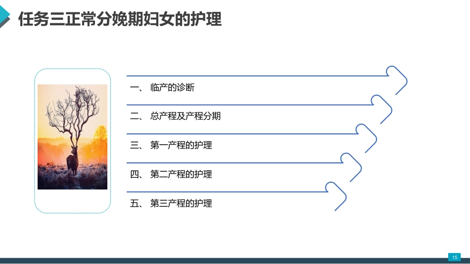 母婴护理课件：正常分娩期妇女的护理_第15页
