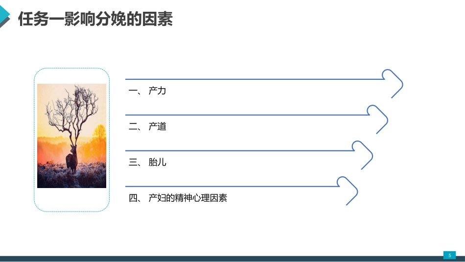 母婴护理课件：正常分娩期妇女的护理_第5页