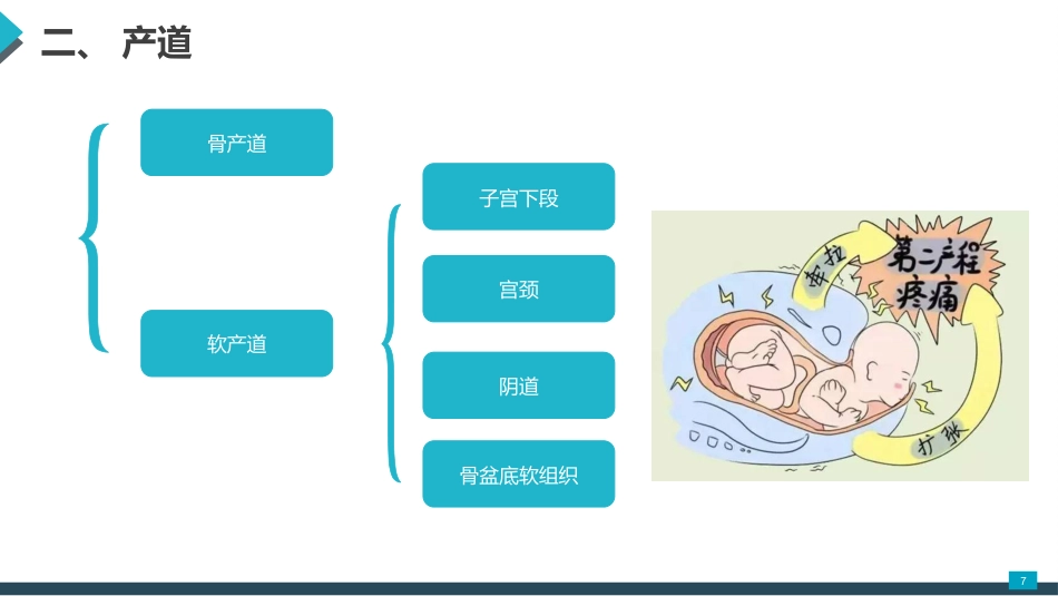 母婴护理课件：正常分娩期妇女的护理_第7页