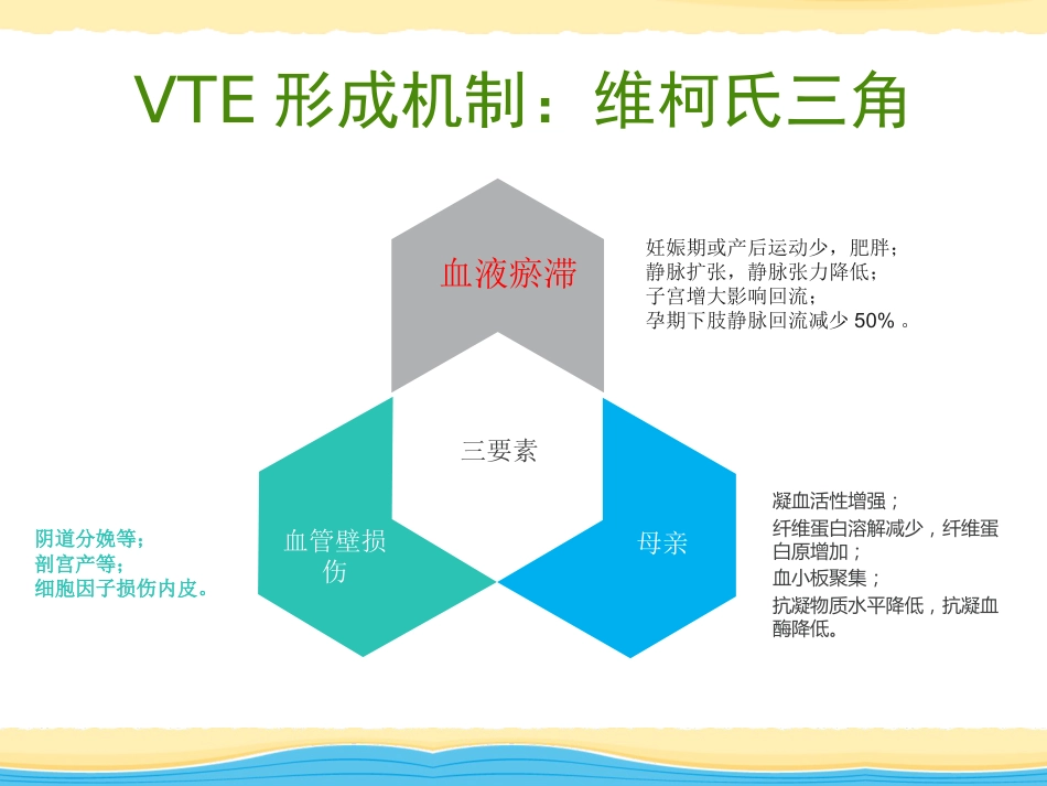 产科VTE护理查房_第2页