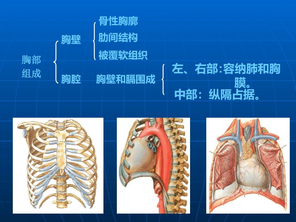 创伤性血气胸的急救与护理(1)_第3页