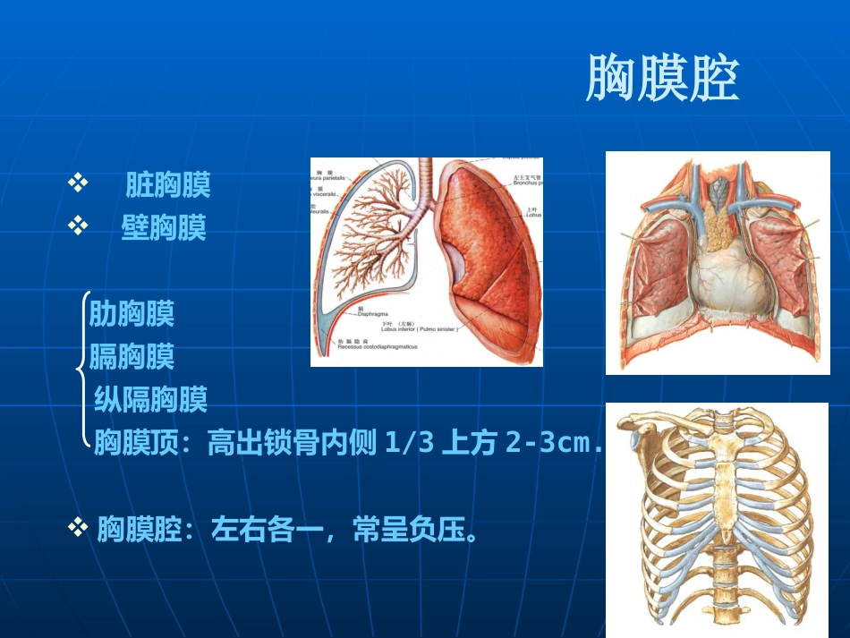 创伤性血气胸的急救与护理(1)_第4页