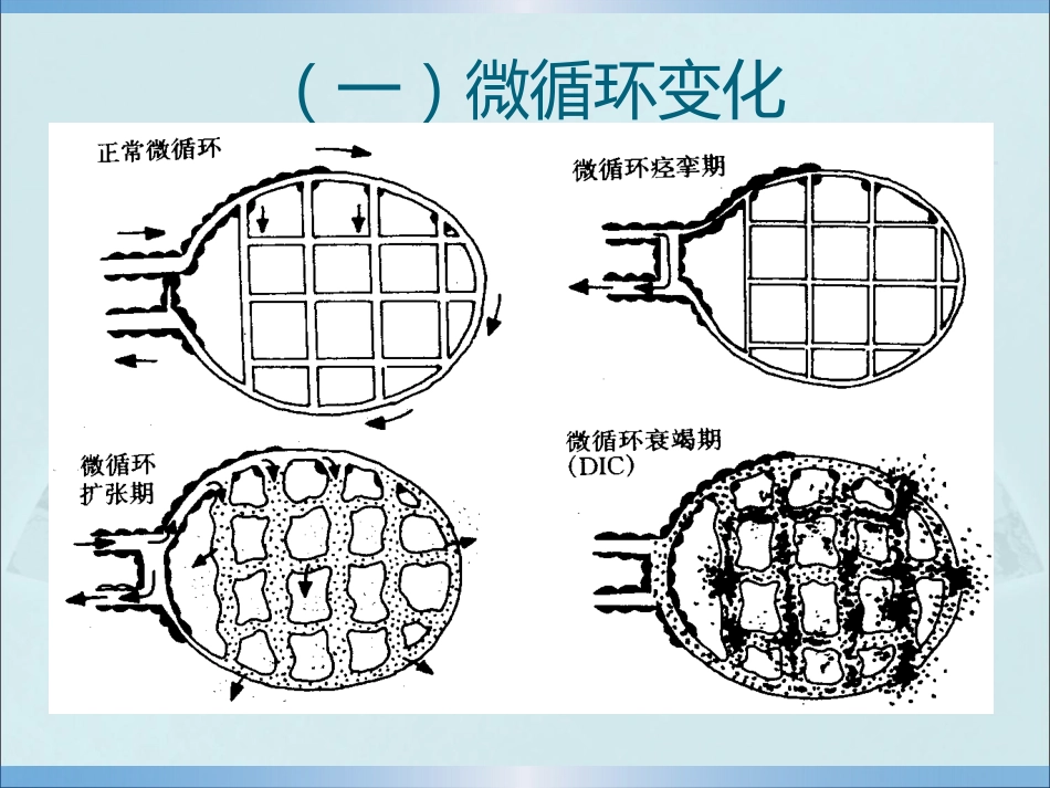 创伤性休克的急救护理_第7页