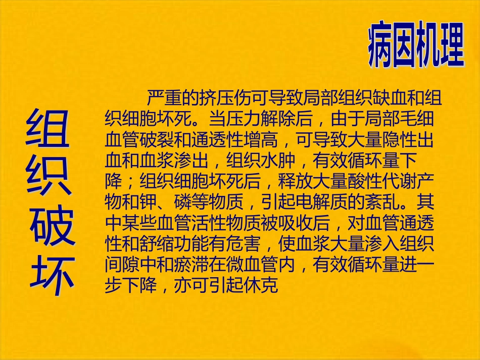 创伤性休克的急救护理(1)_第12页