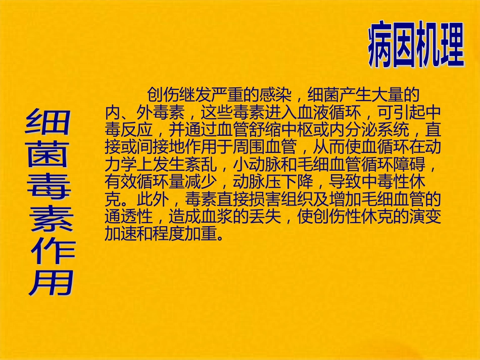 创伤性休克的急救护理(1)_第13页