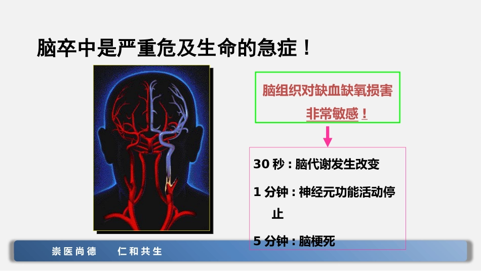 脑卒中的急救和护理_第13页