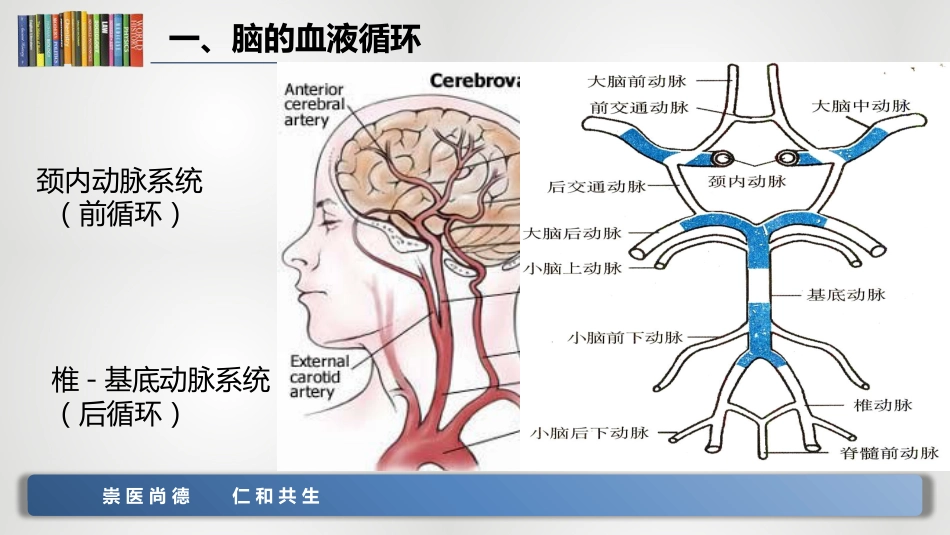 脑卒中的急救和护理_第6页