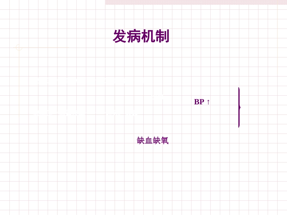 脑出血急救护理_第10页