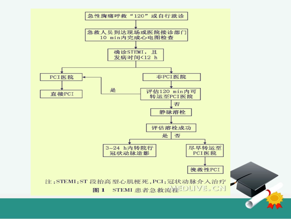 急性心肌梗死的溶栓护理查房_第13页