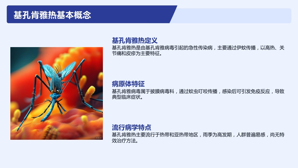 基孔肯雅热护理查房_第4页