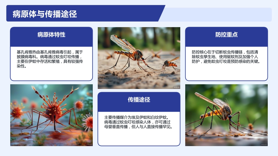 基孔肯雅热护理查房_第5页