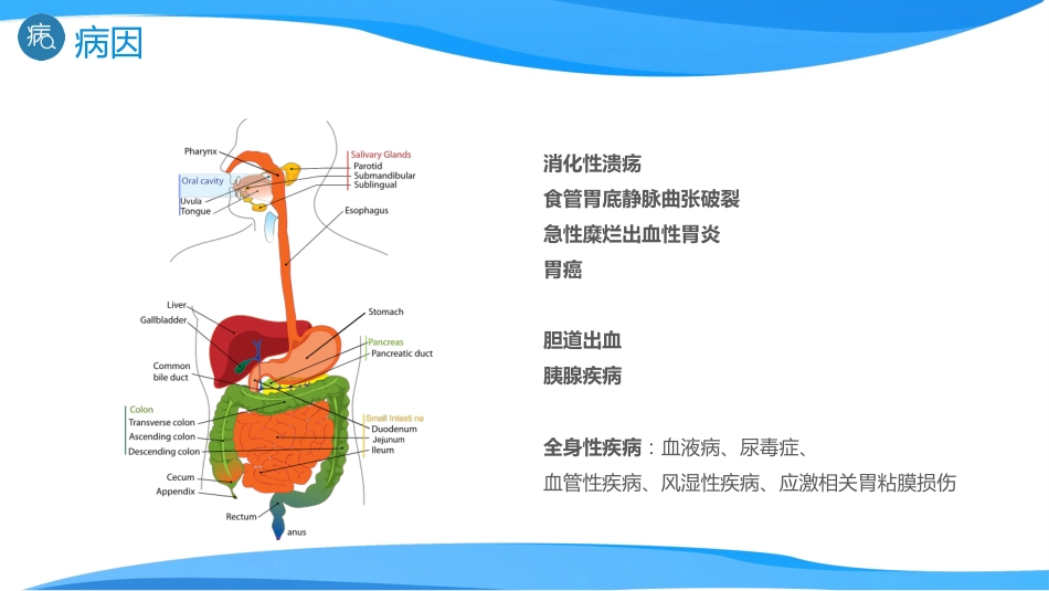 急诊护理：消化道出血医疗_第6页