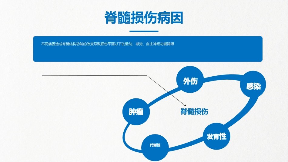 急诊护理：脊髓损伤_第12页