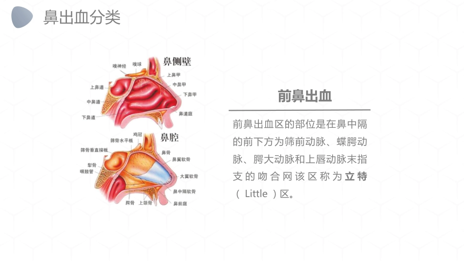 急诊护理：鼻出血护理_第7页