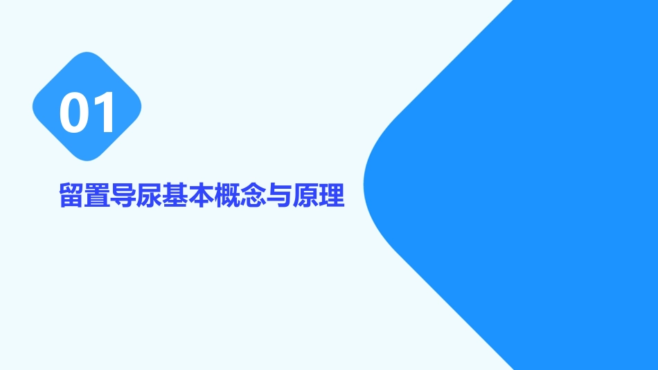 2024版留置导尿护理指南PPT通用课件_第3页