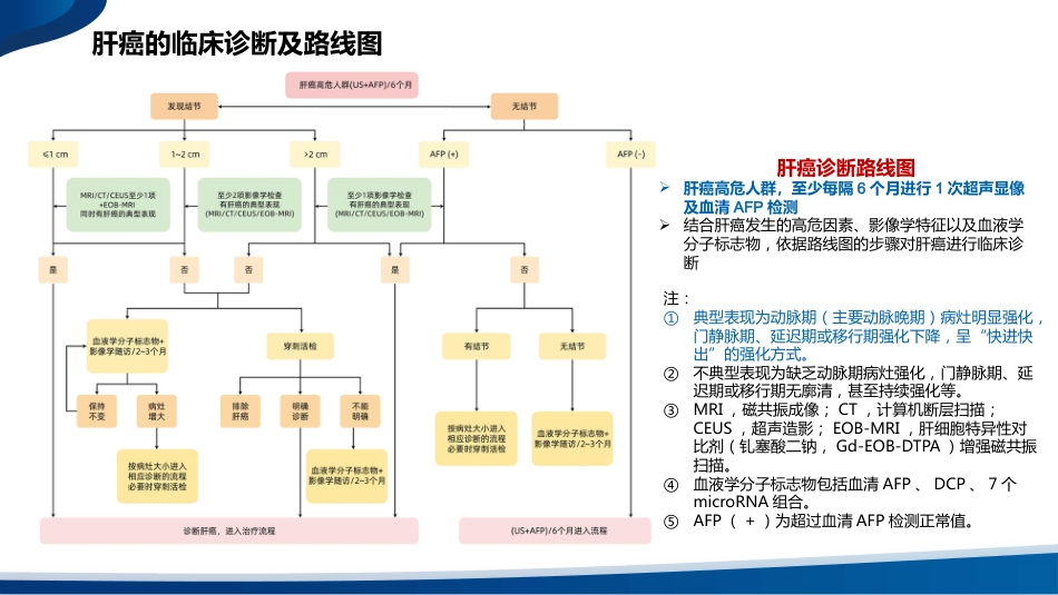 2024年版原发性肝癌诊疗指南内科及系统治疗解读_第8页