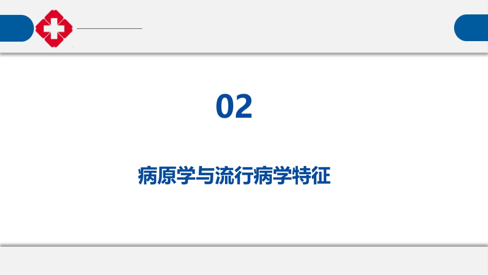 流行性感冒诊疗指南_第7页