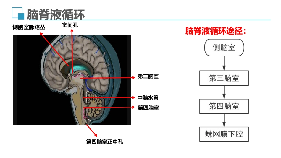 脑室外引流管的护理完整版_第11页