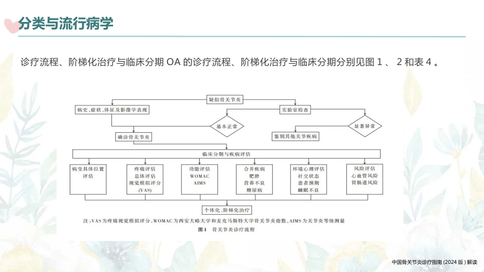 中国骨关节炎诊疗指南(2024版)解读(2024版)_第13页