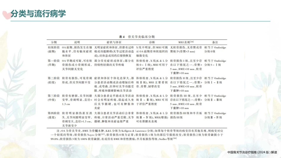 中国骨关节炎诊疗指南(2024版)解读(2024版)_第15页