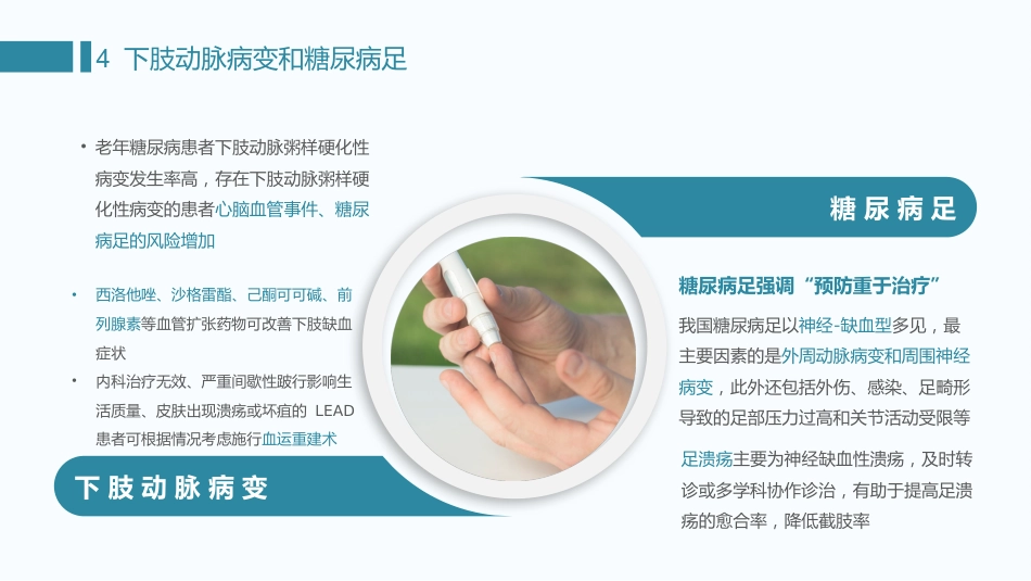 中国老年糖尿病诊疗指南(2024)--学习笔记_第10页