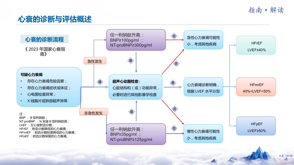 《中国心力衰竭诊断和治疗指南2024》解读_第12页