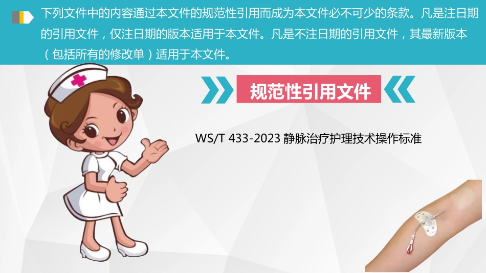 成人中心静脉导管（CVC）堵塞风险评估及预防-2024团体标准_第3页
