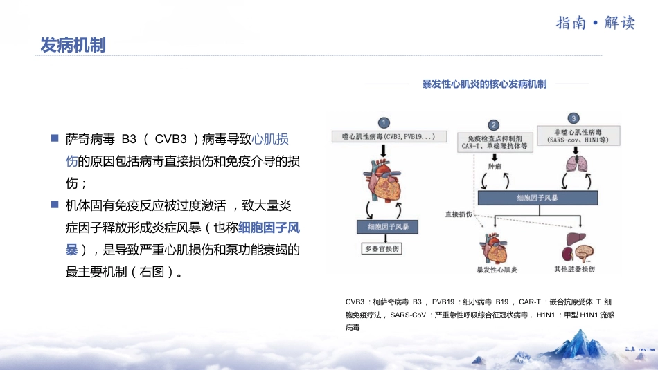 《中国成人暴发性心肌炎诊断和治疗指南2024版》解读_第6页