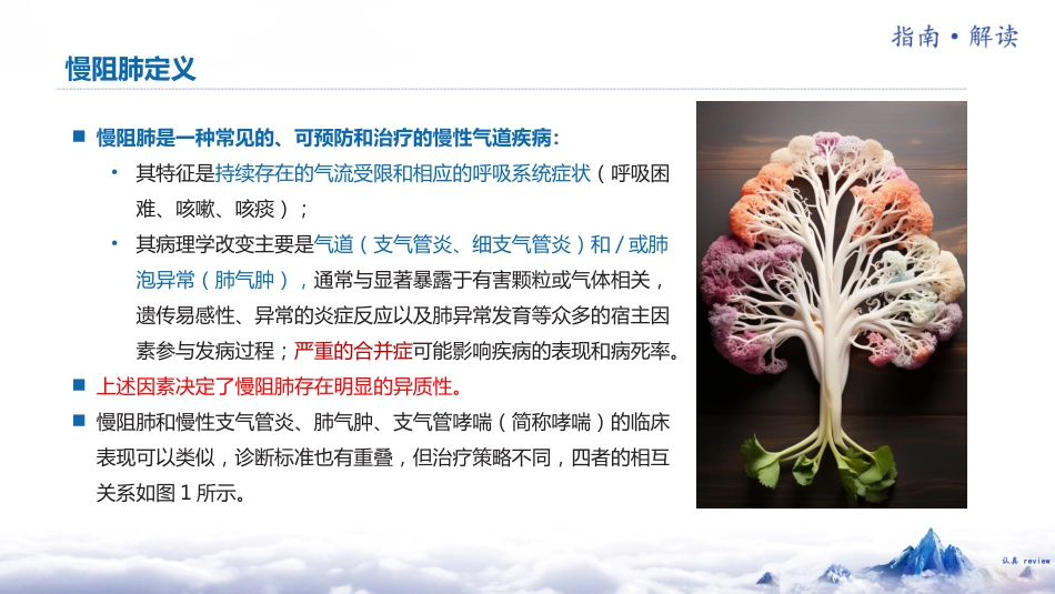 中国慢性阻塞性肺疾病基层诊疗指南(2024年)解读_第5页