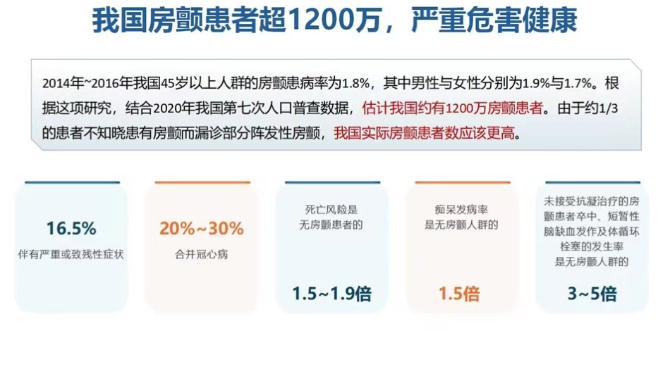 《心房颤动诊断和治疗中国指南》解读2024课件_第5页