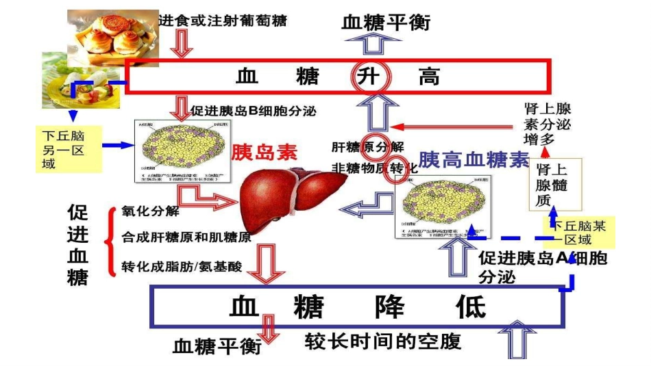 糖尿病患者围手术期血糖管理_第7页