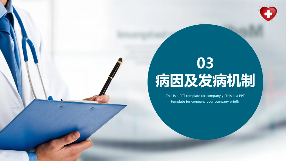 中国慢性腰背痛诊疗指南(2024版)_第11页