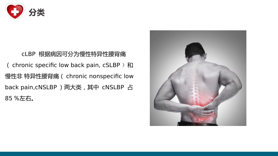 中国慢性腰背痛诊疗指南(2024版)_第6页