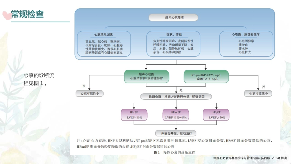 中国心力衰竭基层诊疗与管理指南(实践版2024)解读_第13页