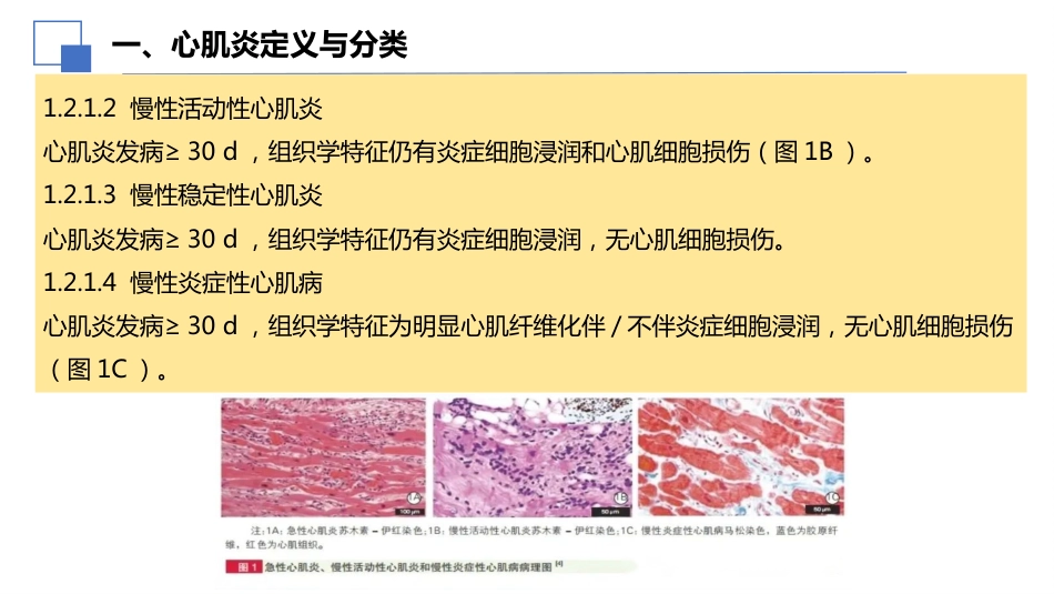 2024年中国成人心肌炎临床诊断与治疗指南解读课件_第4页