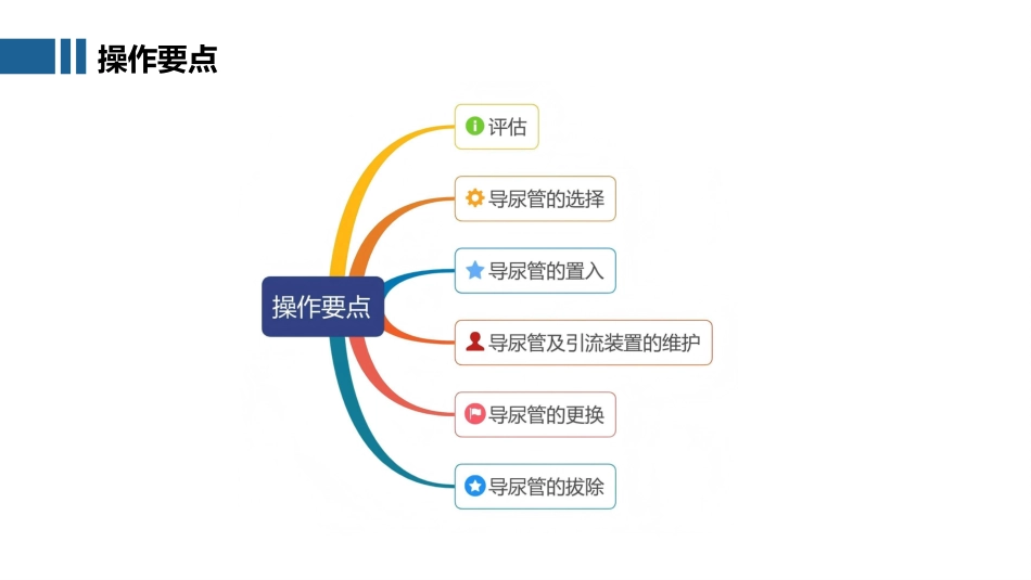 中华护理学会团体标准TCNAS 48-2025 成人留置导尿的护理及并发症处理_第12页