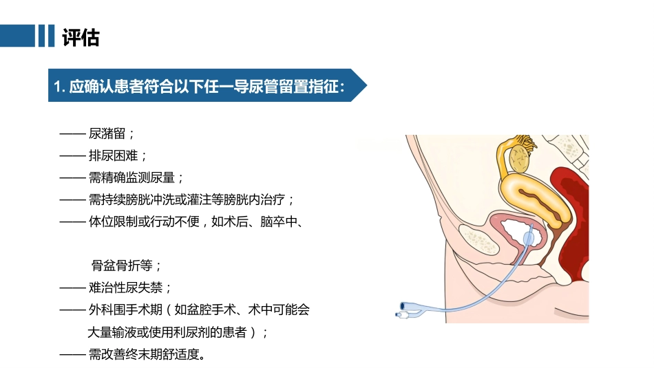 中华护理学会团体标准TCNAS 48-2025 成人留置导尿的护理及并发症处理_第13页