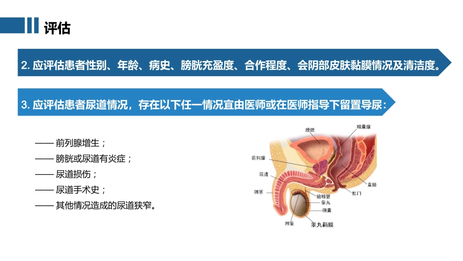 中华护理学会团体标准TCNAS 48-2025 成人留置导尿的护理及并发症处理_第14页