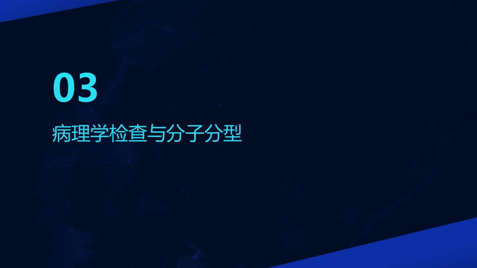 2024乳腺癌诊疗指南2024年版_第13页