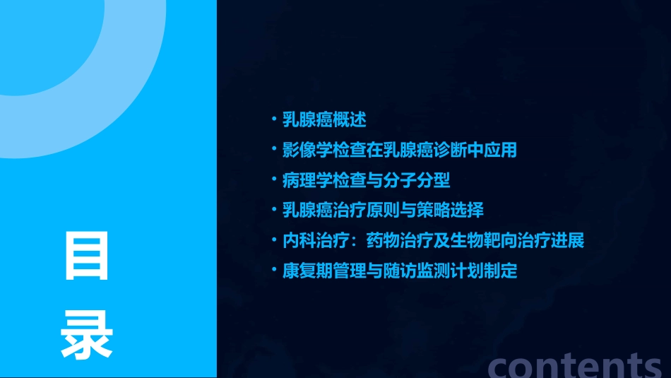 2024乳腺癌诊疗指南2024年版_第2页