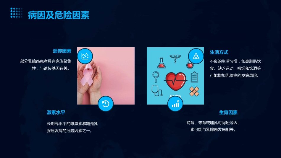 2024乳腺癌诊疗指南2024年版_第5页