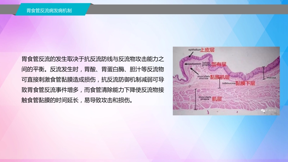 胃食管反流病基层诊疗指南(实践版2019)_第10页
