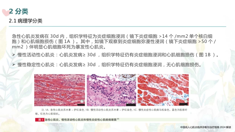 中国成人心肌炎临床诊断与治疗指南2024解读_第6页