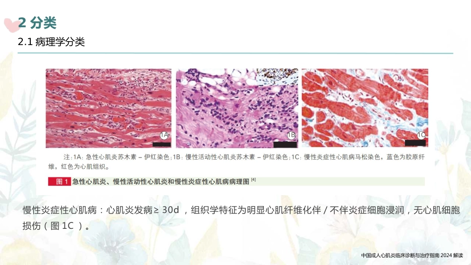 中国成人心肌炎临床诊断与治疗指南2024解读_第7页