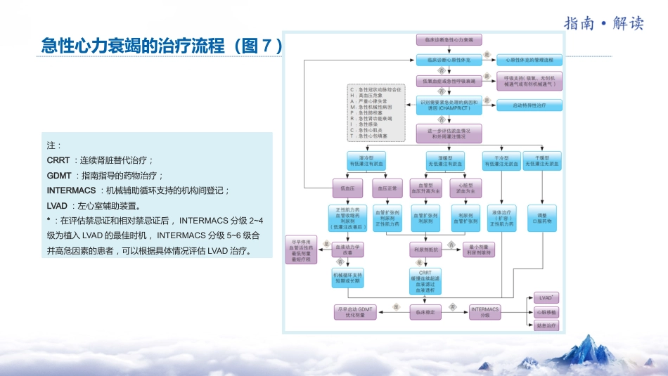 《国家心力衰竭指南2023》解读_第13页