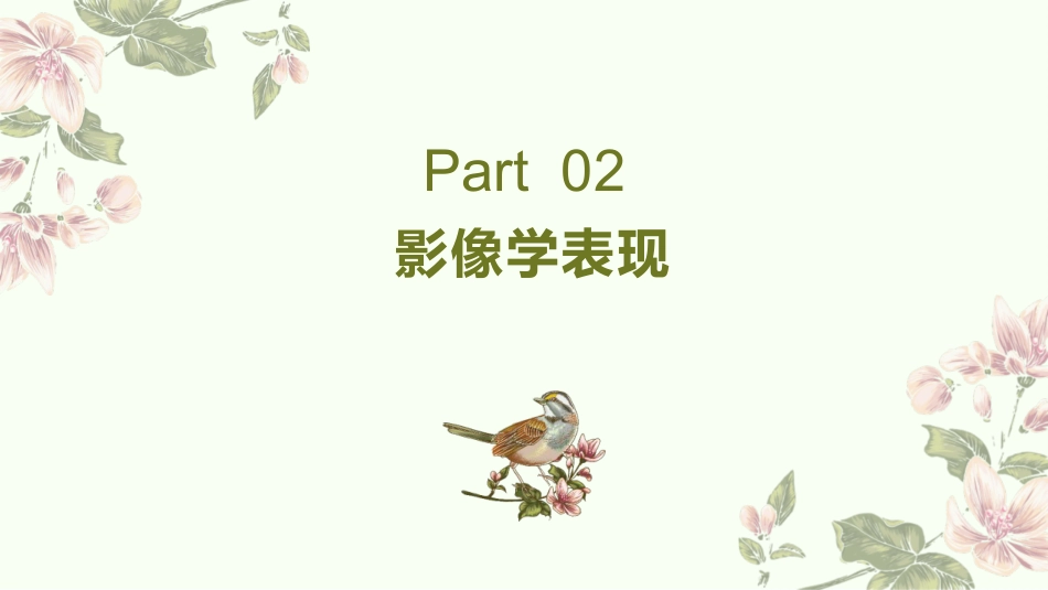 儿童肺炎支原体肺炎诊疗指南(2023年版)解读_第6页