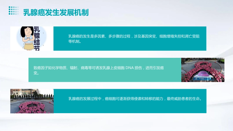2024版CSCO乳腺癌诊疗指南解读PPT课件_第10页