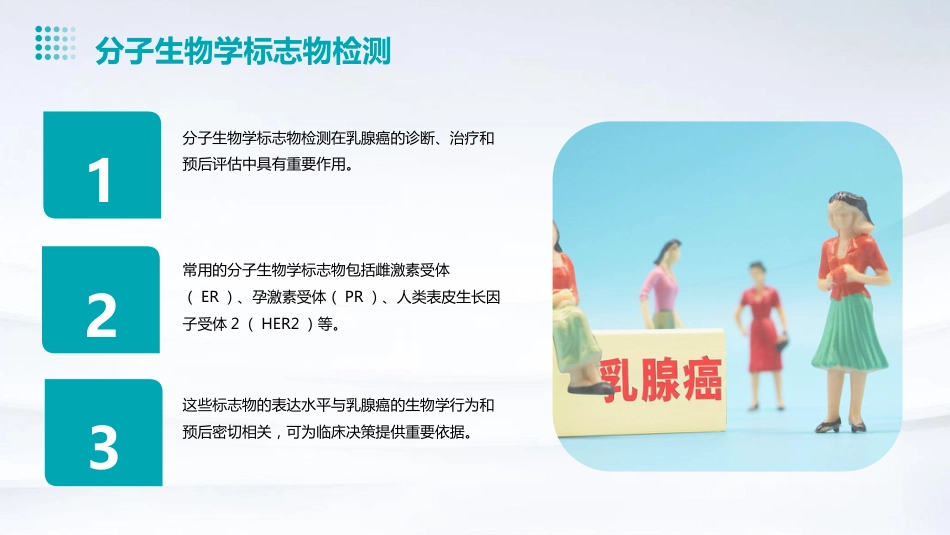 2024版CSCO乳腺癌诊疗指南解读PPT课件_第11页